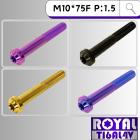 【ROYAL-TI6AL4V】ROYAL 鈦合金 飛碟頭螺絲 M10*75F P1.5| Webike摩托百貨