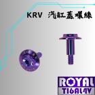 【ROYAL 鈦合金螺絲 】ROYAL 鈦合金 汽缸蓋螺絲 M6*25 P1.0 KRV 幻彩藍| Webike摩托百貨