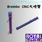 【ROYAL 鈦合金螺絲 】ROYAL 鈦合金 插梢 幻彩藍 Brembo 大螃蟹卡鉗| Webike摩托百貨