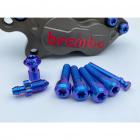 【Ti Only】鈦螺絲套裝 Brembo CNC 對四卡鉗| Webike摩托百貨