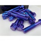 【Ti Only】正鈦螺絲 M10 × 55 × 1.25 特外六| Webike摩托百貨