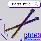 【ROCK Stainless Steel】ROCK 白鐵 螺絲 M6*75 P:1.0 鍍鈦燒色| Webike摩托百貨