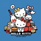 【GOGOBIZ】車身防刮套 HELLO KITTY 凱蒂貓 (KT016) CLBCU| Webike摩托百貨