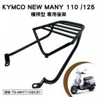 【Astutain】橫桿式後貨架 NEW MANY 110 / 125| Webike摩托百貨