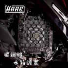 【HARE】碳纖維水箱護罩 DRG、JETSL、MMBCU| Webike摩托百貨
