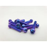 【Ti Only】正鈦螺絲 M4 × 20