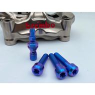 【Ti Only】Brembo GP4RX & 484卡鉗 鈦螺絲套裝