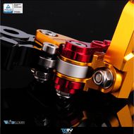 【DIMOTIV (DMV)】二截式拉桿 Z900、Z900RS