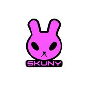 【SKUNY】安全帽鎖 ZX-4RR