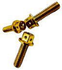 【GAME SPACE】Hex-Head License Plate Bolt (Excluding Washers)