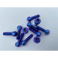 【Ti Only】正鈦螺絲 M6 × 20