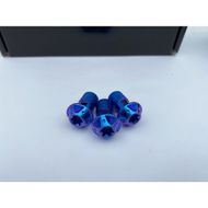 【Ti Only】正鈦合金 Brembo油管螺絲 M10 × 1.25P