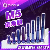 【Ti Only】正鈦螺絲 M5 × 20
