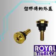 【ROYAL 鈦合金螺絲 】ROYAL 鈦合金 飛碟頭螺絲 YAMAHA車款傳動塑膠外蓋用 土豪金