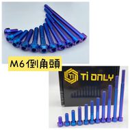 【Ti Only】正鈦螺絲 M6 × 20