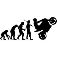 【Louis】Biker Evolution 車身裝飾貼紙