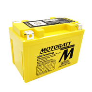 【MOTOBATT】AGM 強效電池 MBTZ14S 總代理公司貨