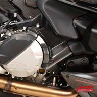 【X-TOP】碳纖維 引擎護蓋 PANIGALE V2 (20-23) / STREETFIGHTER V2 (20-23)