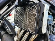 【SKUNY】Radiator Guard Z900RS