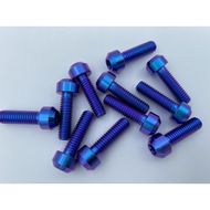 【Ti Only】正鈦螺絲 M6 × 20